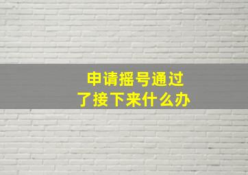 申请摇号通过了接下来什么办