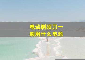 电动剃须刀一般用什么电池