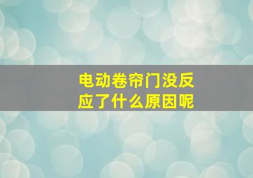 电动卷帘门没反应了什么原因呢