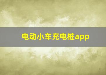 电动小车充电桩app