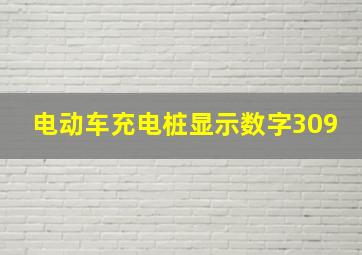 电动车充电桩显示数字309