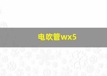 电吹管wx5