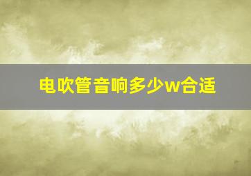 电吹管音响多少w合适