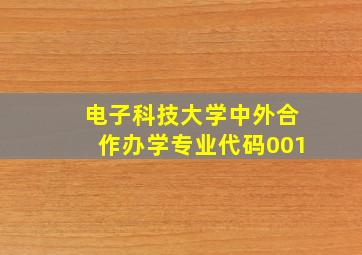 电子科技大学中外合作办学专业代码001