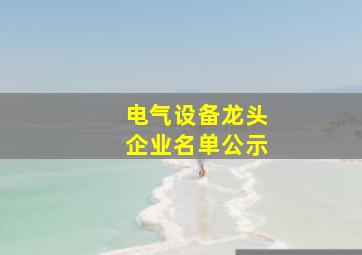 电气设备龙头企业名单公示