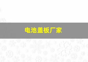 电池盖板厂家