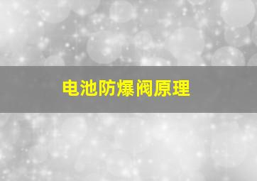 电池防爆阀原理