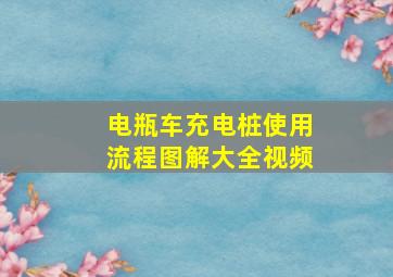 电瓶车充电桩使用流程图解大全视频