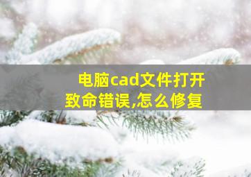 电脑cad文件打开致命错误,怎么修复