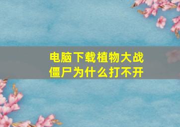 电脑下载植物大战僵尸为什么打不开