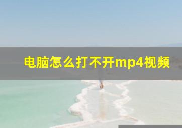 电脑怎么打不开mp4视频