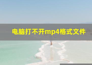 电脑打不开mp4格式文件