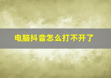 电脑抖音怎么打不开了