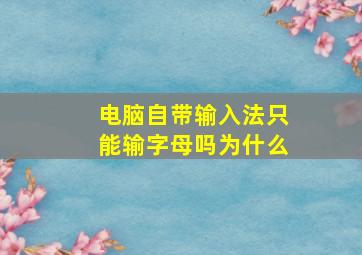 电脑自带输入法只能输字母吗为什么