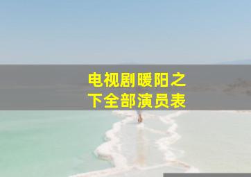 电视剧暖阳之下全部演员表