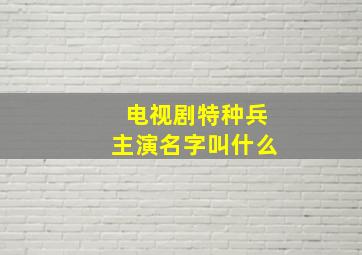 电视剧特种兵主演名字叫什么