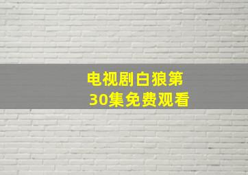 电视剧白狼第30集免费观看