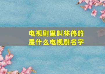 电视剧里叫林伟的是什么电视剧名字