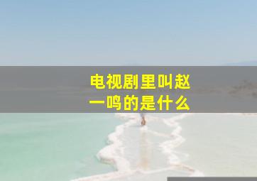 电视剧里叫赵一鸣的是什么