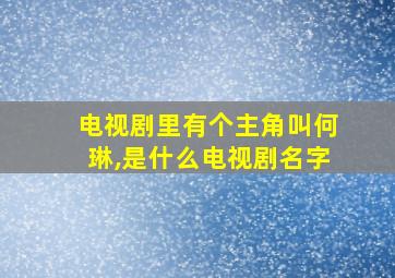 电视剧里有个主角叫何琳,是什么电视剧名字