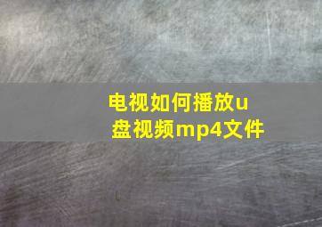 电视如何播放u盘视频mp4文件