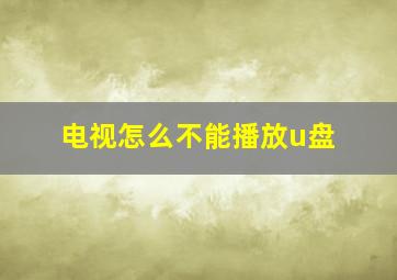 电视怎么不能播放u盘