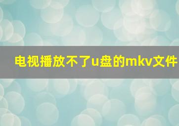 电视播放不了u盘的mkv文件