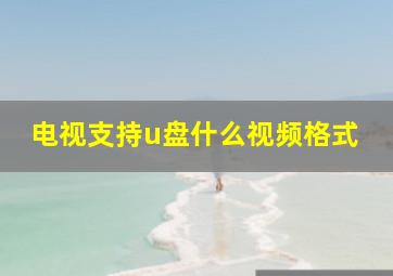 电视支持u盘什么视频格式