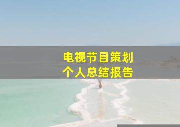 电视节目策划个人总结报告