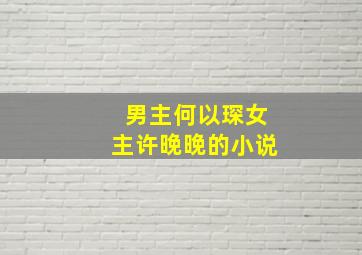 男主何以琛女主许晚晚的小说