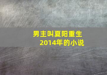 男主叫夏阳重生2014年的小说