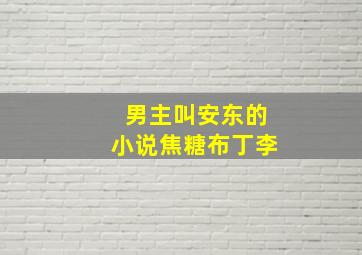 男主叫安东的小说焦糖布丁李