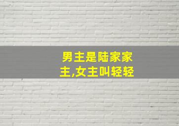 男主是陆家家主,女主叫轻轻