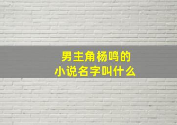 男主角杨鸣的小说名字叫什么