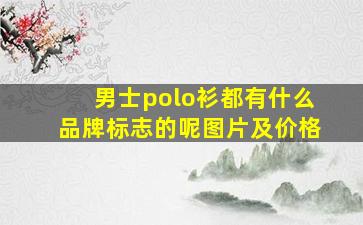 男士polo衫都有什么品牌标志的呢图片及价格