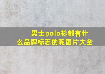 男士polo衫都有什么品牌标志的呢图片大全