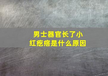 男士器官长了小红疙瘩是什么原因