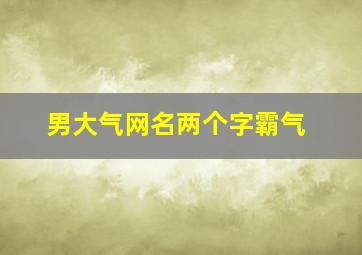 男大气网名两个字霸气