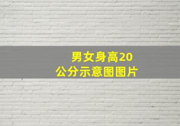 男女身高20公分示意图图片