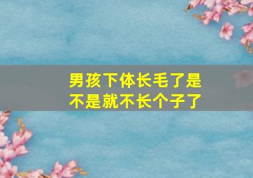 男孩下体长毛了是不是就不长个子了