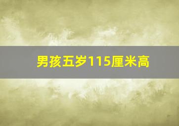 男孩五岁115厘米高