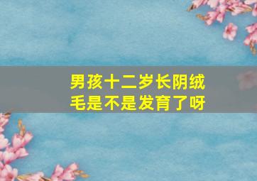 男孩十二岁长阴绒毛是不是发育了呀