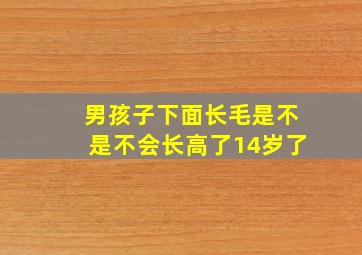 男孩子下面长毛是不是不会长高了14岁了