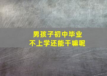 男孩子初中毕业不上学还能干嘛呢