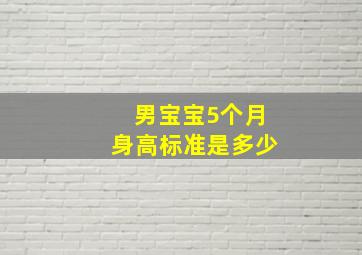 男宝宝5个月身高标准是多少