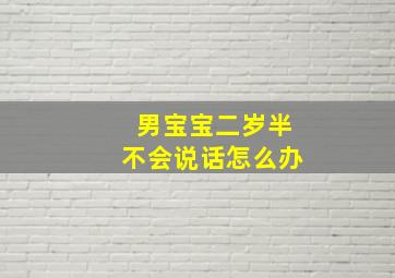 男宝宝二岁半不会说话怎么办