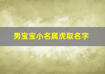 男宝宝小名属虎取名字