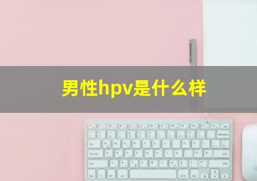 男性hpv是什么样