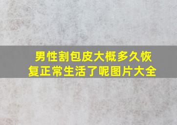 男性割包皮大概多久恢复正常生活了呢图片大全