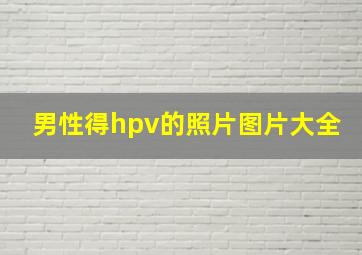 男性得hpv的照片图片大全